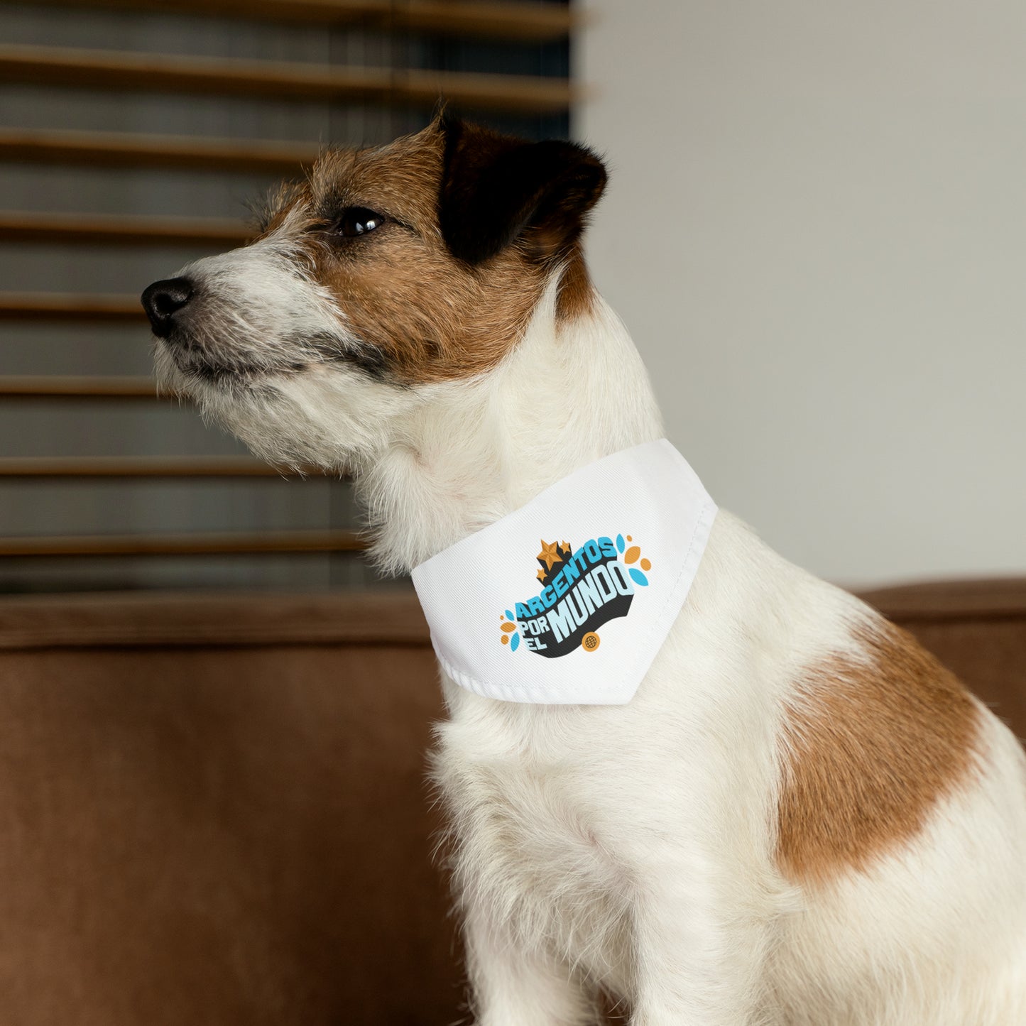 Argentos Por El Mundo Pet Bandana Collar