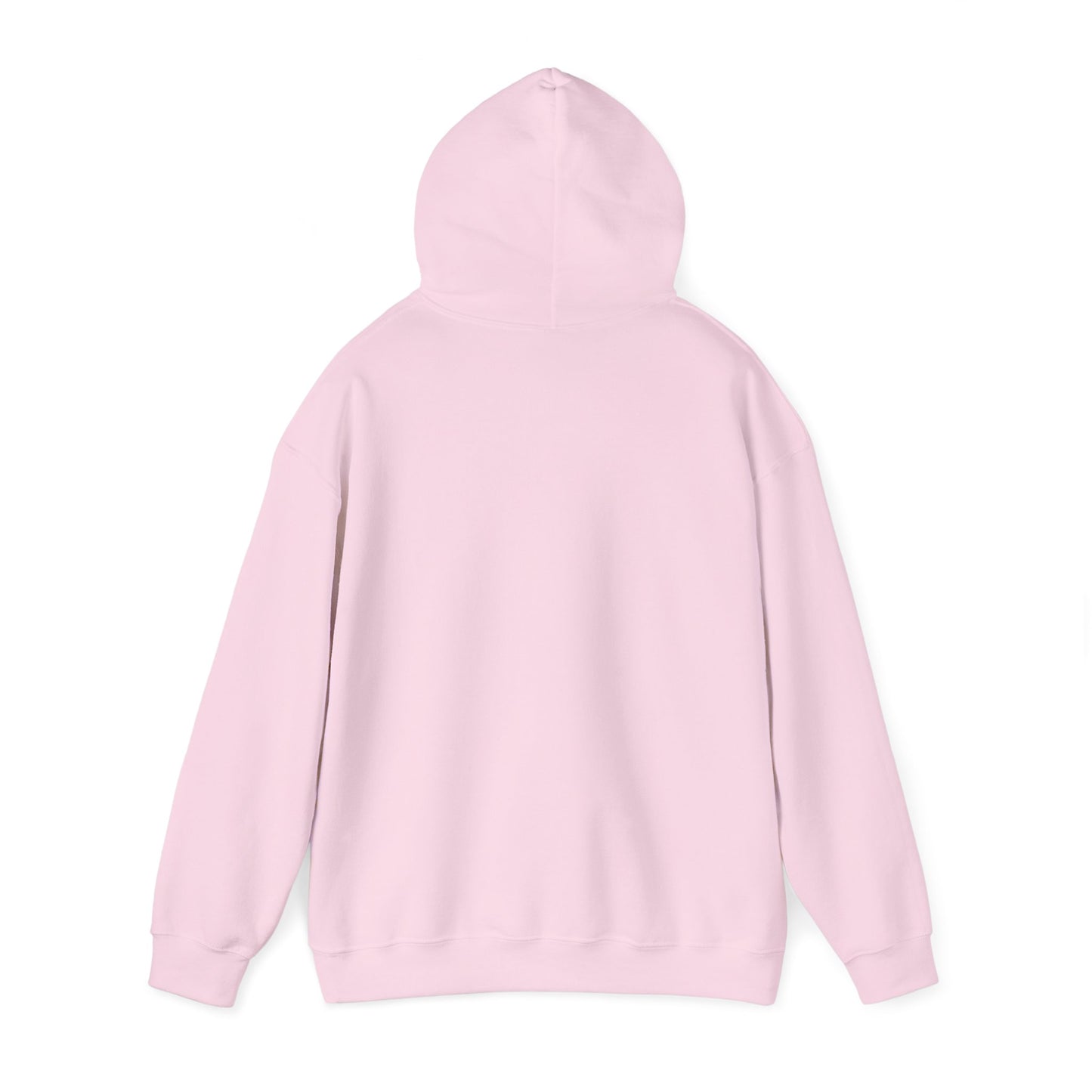 Capibara Tomando Mate Argentina Hoodie