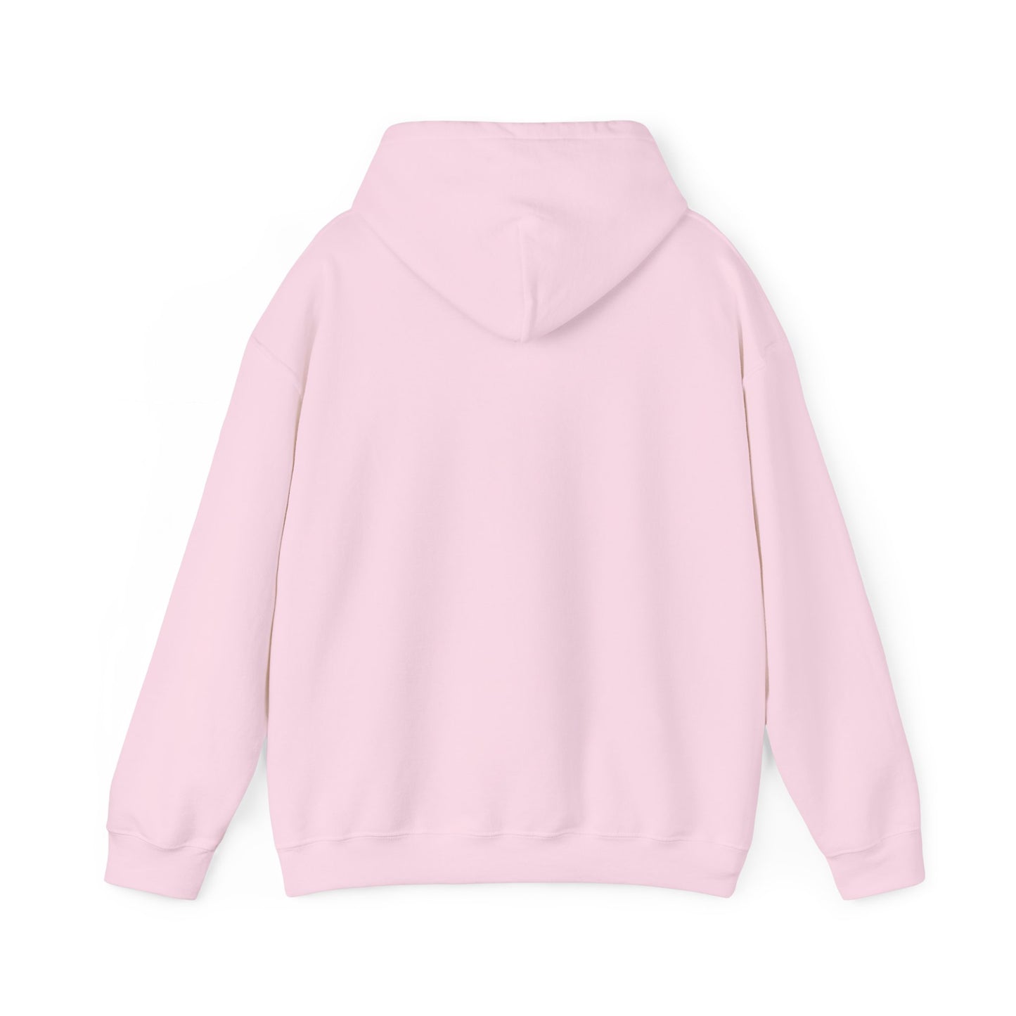 Capibara Tomando Mate Argentina Hoodie