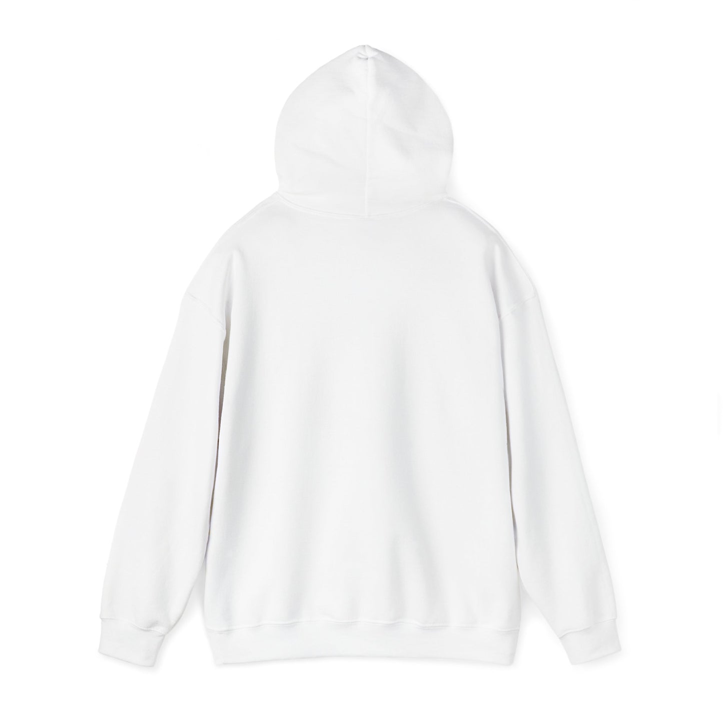 Capibara Tomando Mate Argentina Hoodie