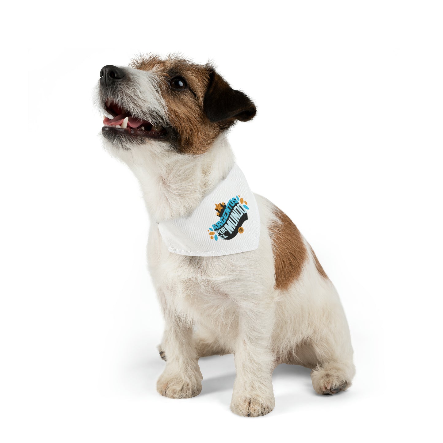 Argentos Por El Mundo Pet Bandana Collar