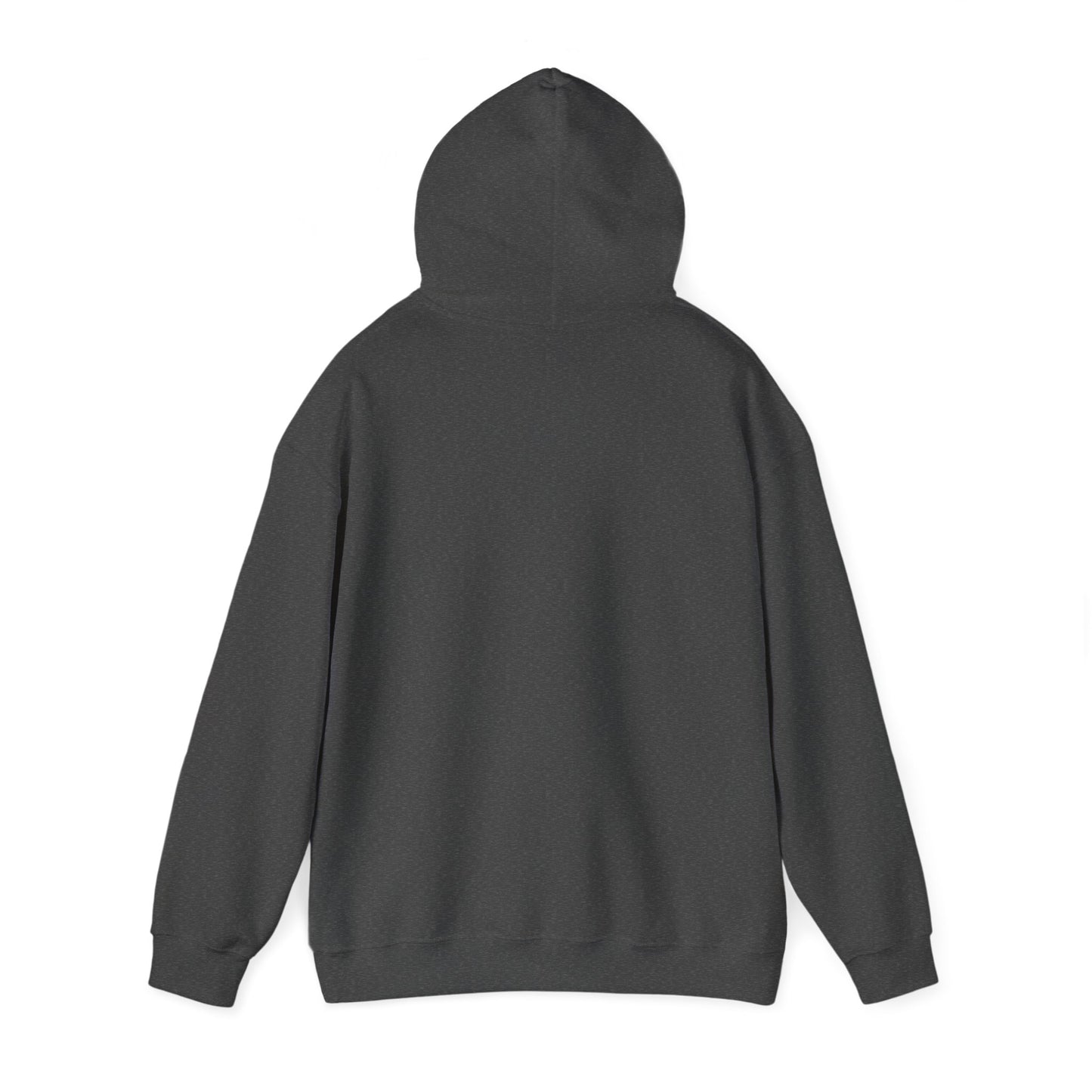 Argentina EST 1816 Hoodie