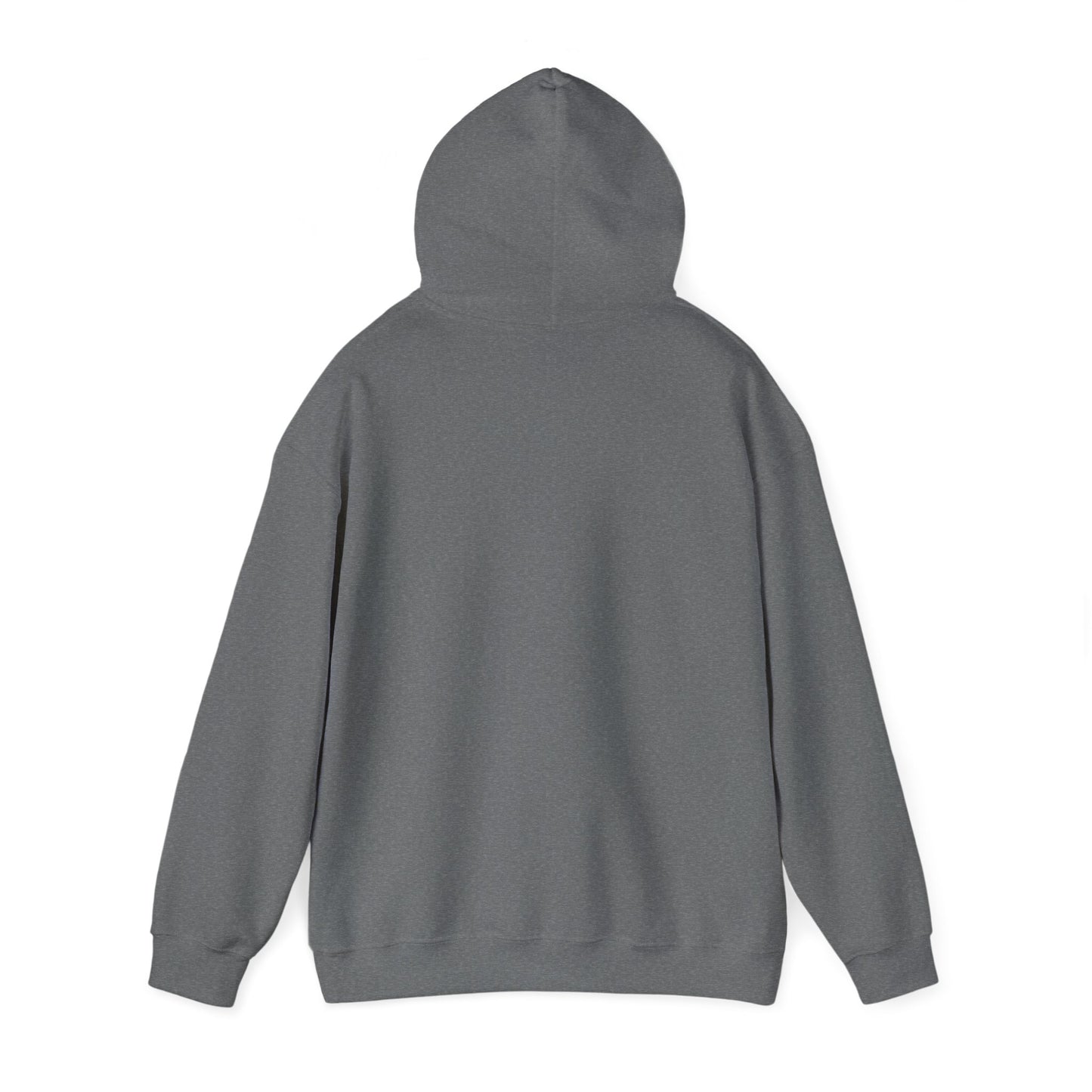 Capibara Tomando Mate Argentina Hoodie