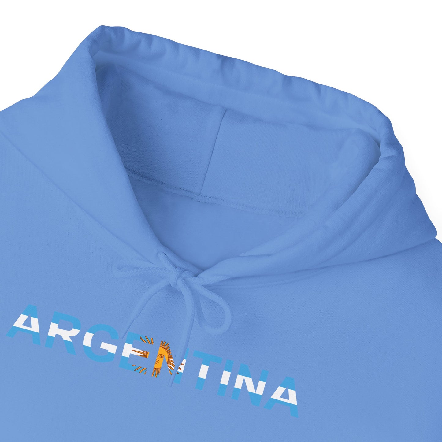 Argentina Bandera Hoodie