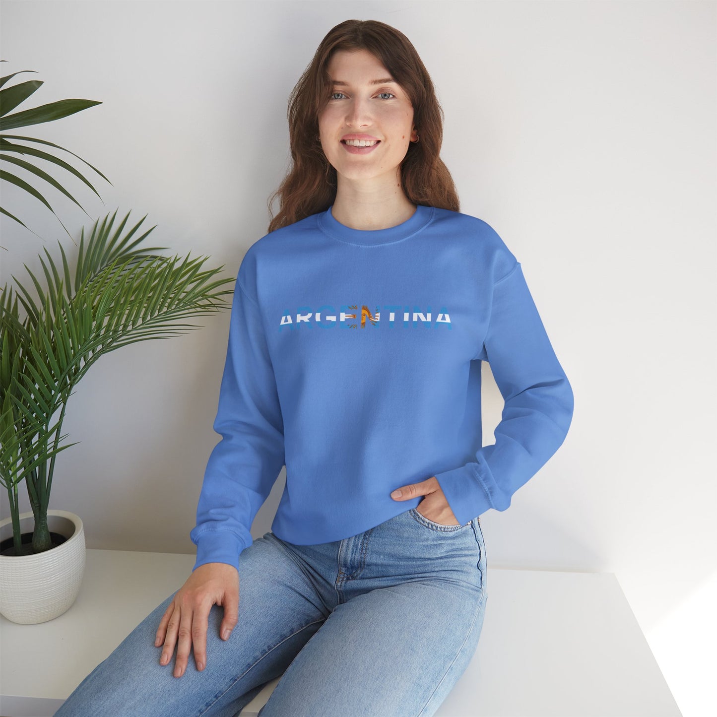 Argentina Bandera Sweatshirt