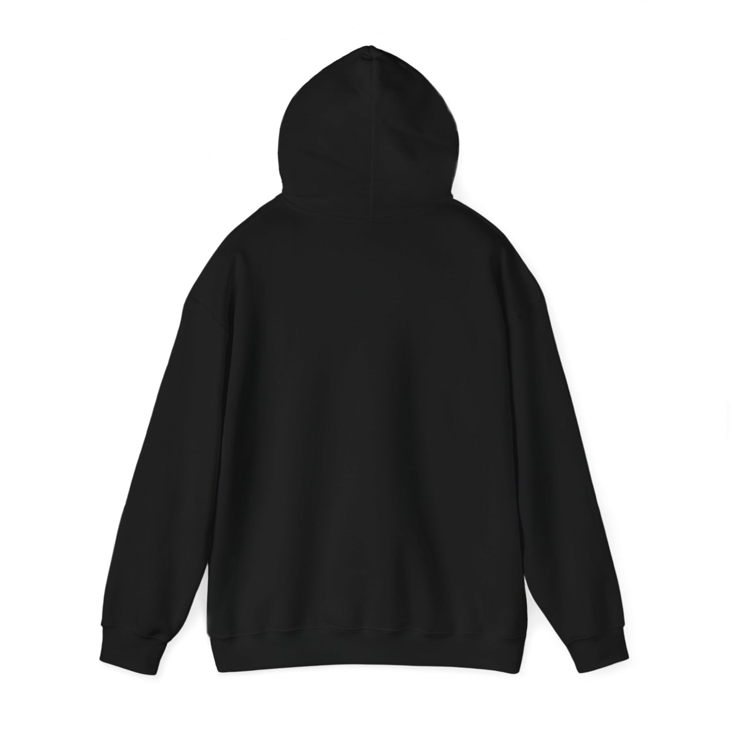Capibara Tomando Mate Argentina Hoodie