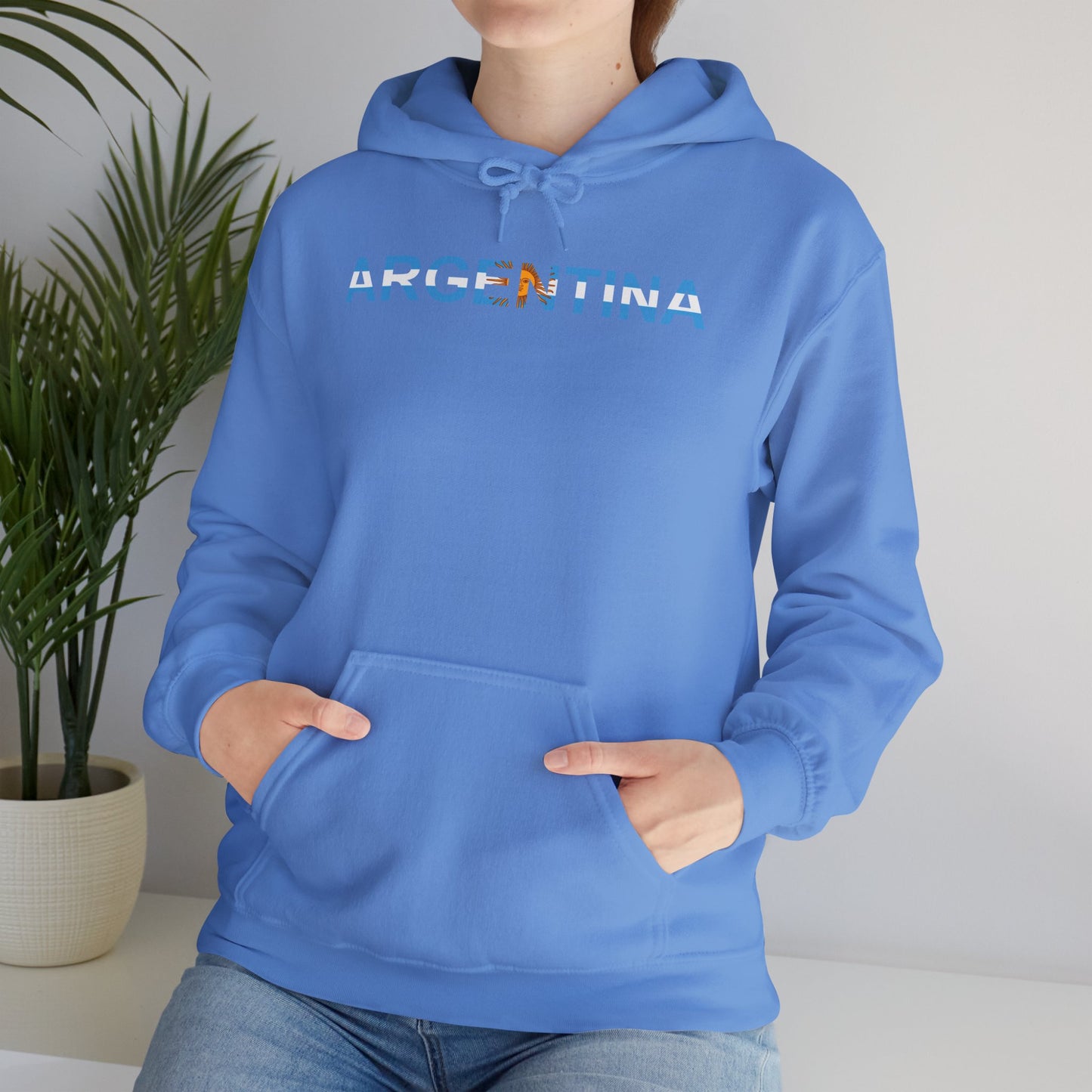 Argentina Bandera Hoodie