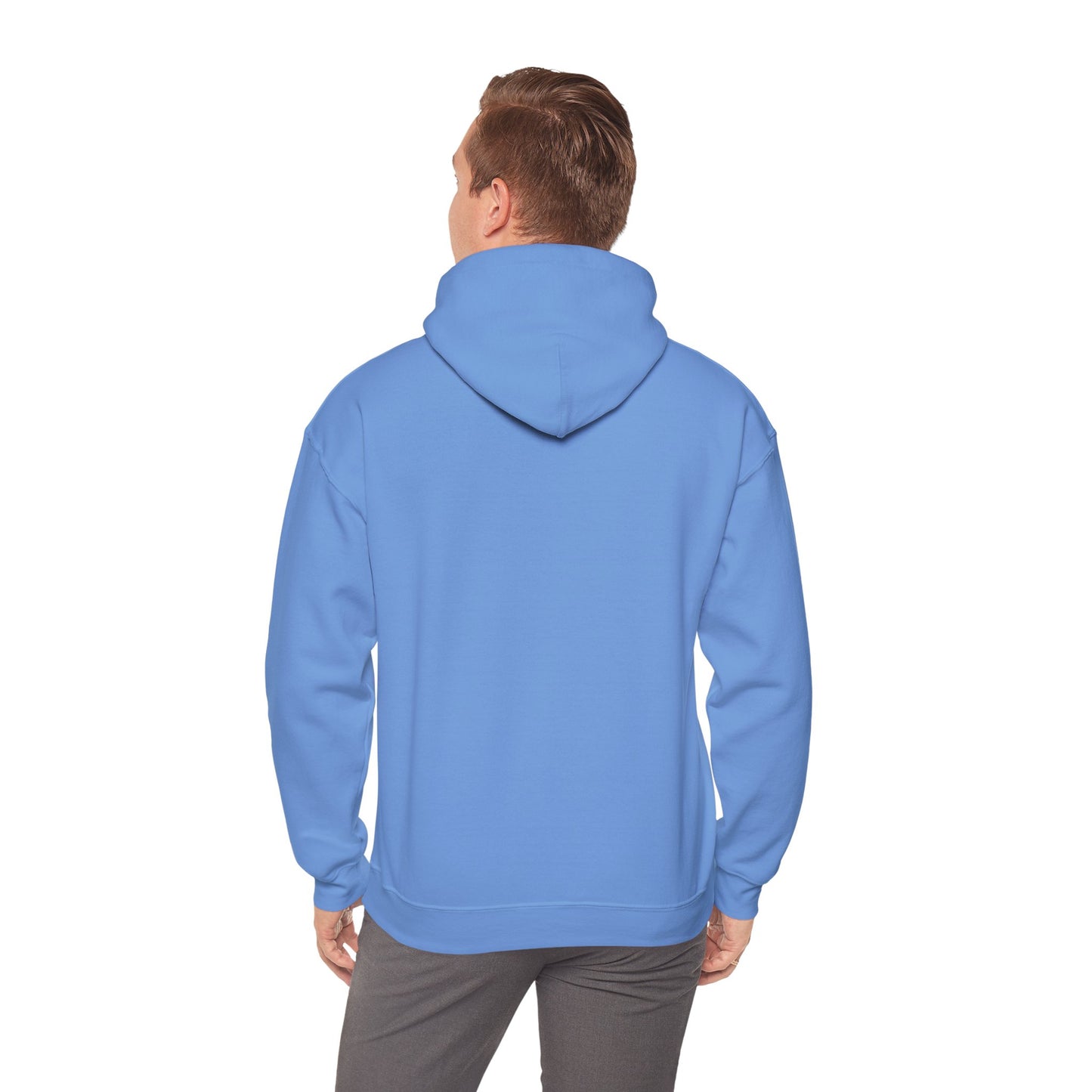 Argentina Bandera Hoodie