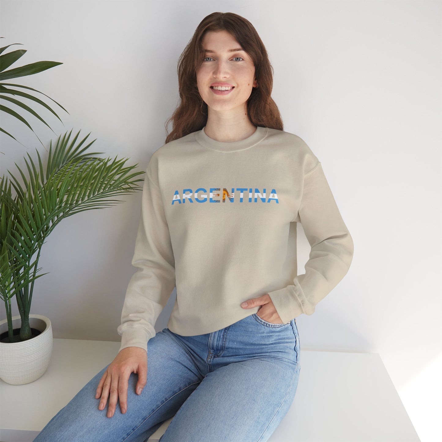 Argentina Bandera Sweatshirt