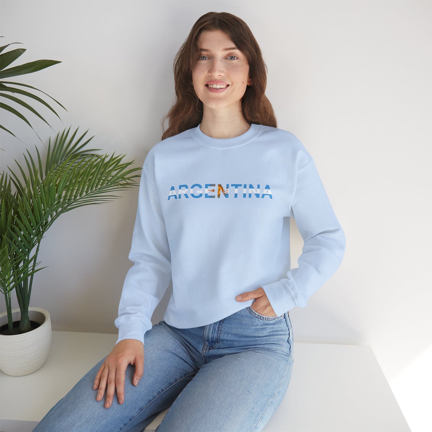 Argentina Bandera Sweatshirt