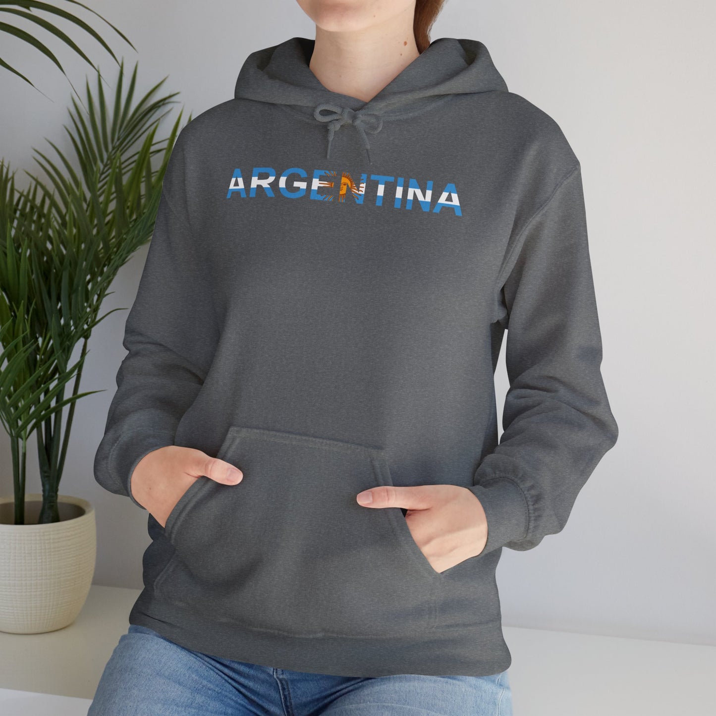 Argentina Bandera Hoodie