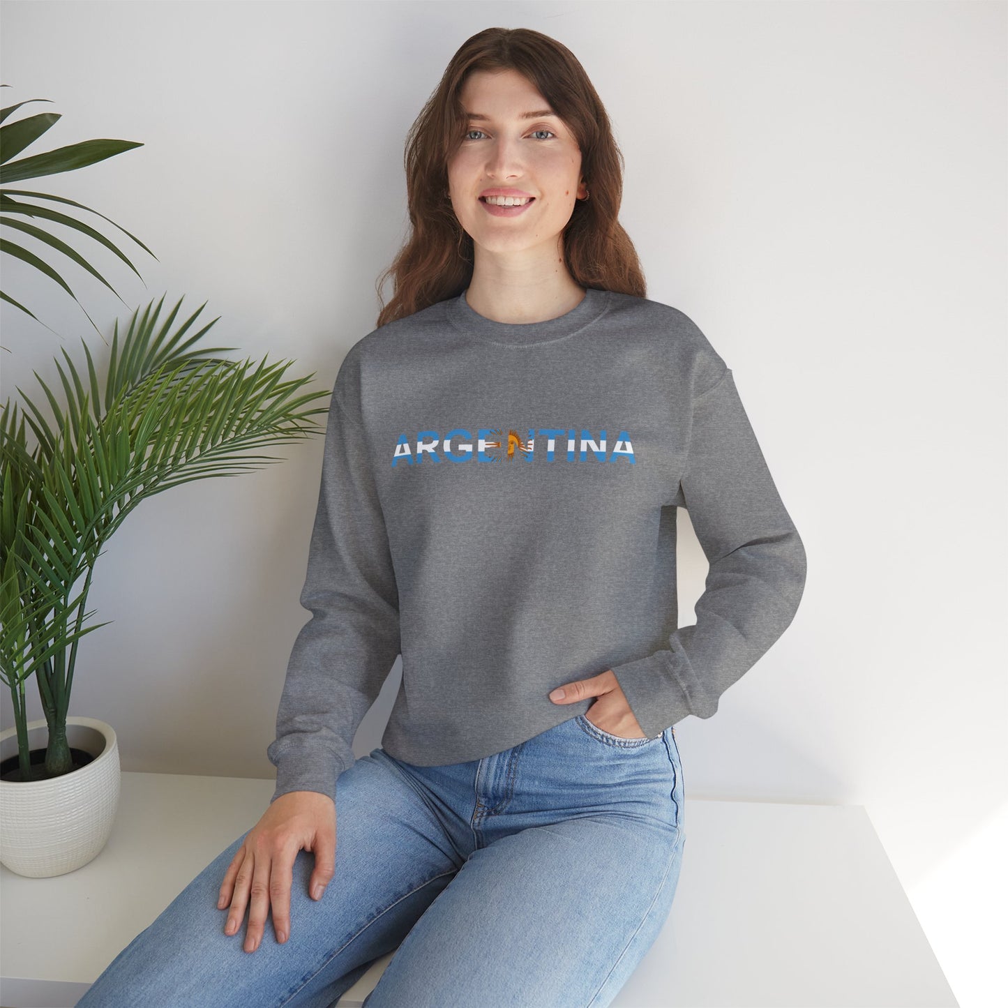 Argentina Bandera Sweatshirt