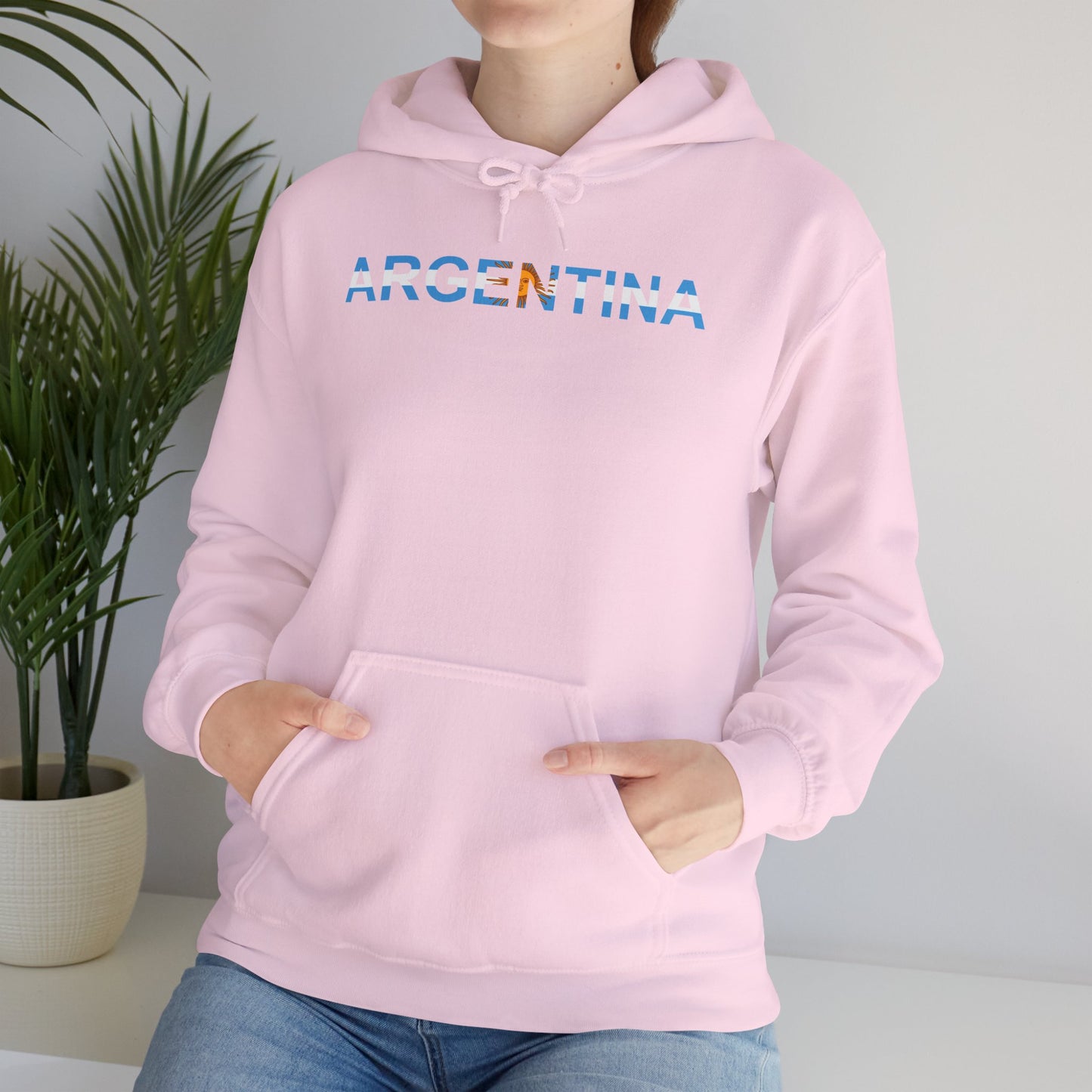 Argentina Bandera Hoodie