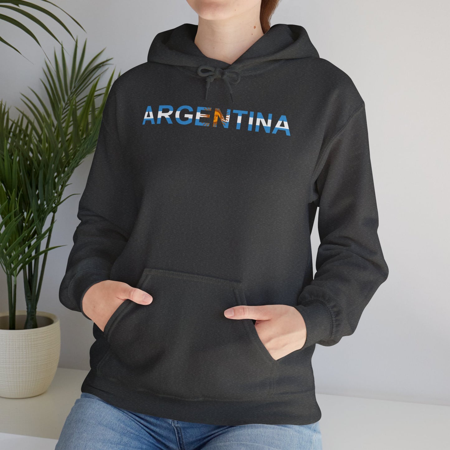 Argentina Bandera Hoodie