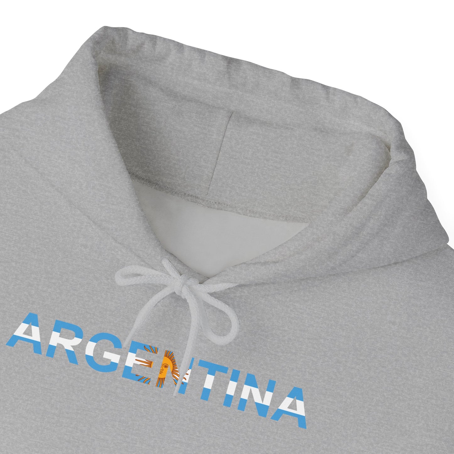 Argentina Bandera Hoodie