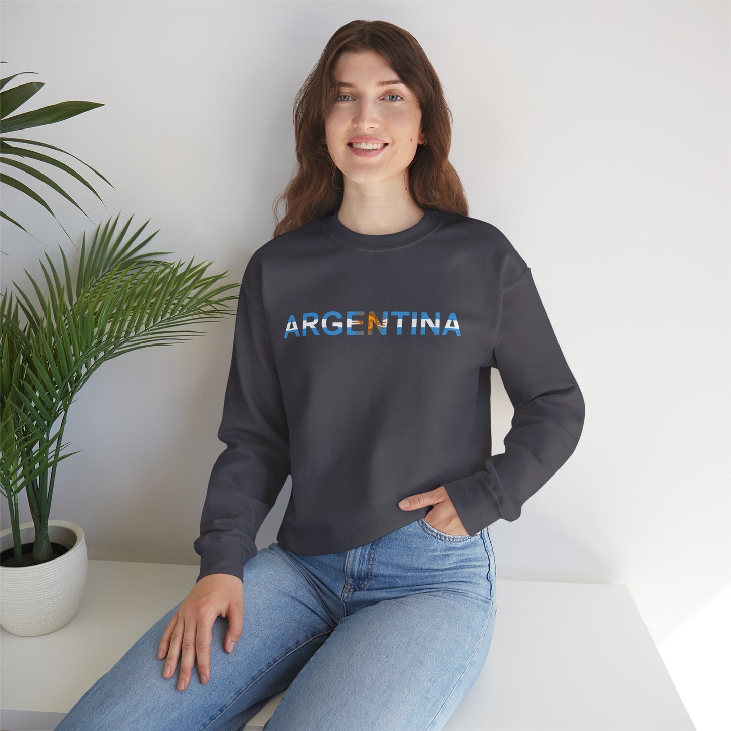 Argentina Bandera Sweatshirt