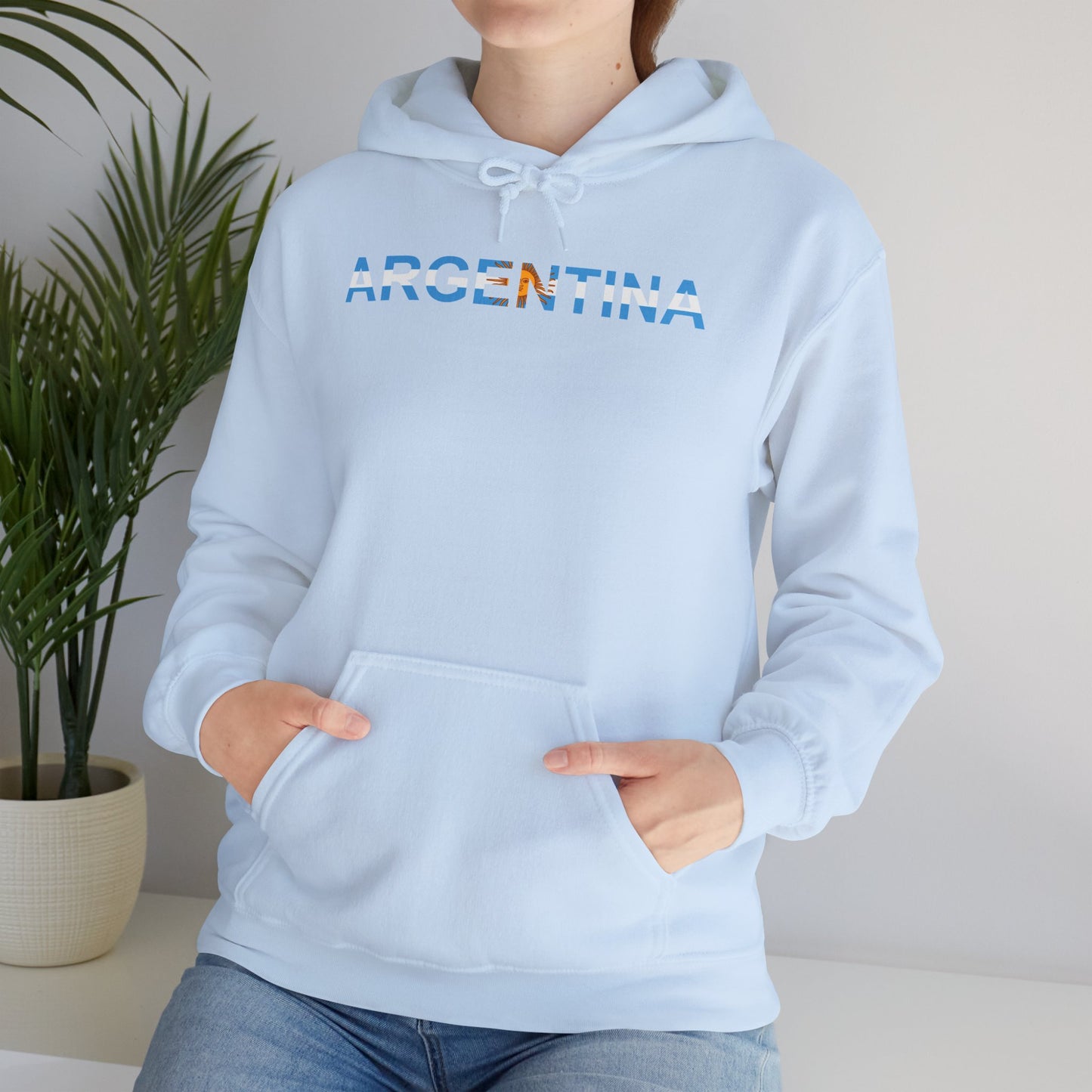 Argentina Bandera Hoodie