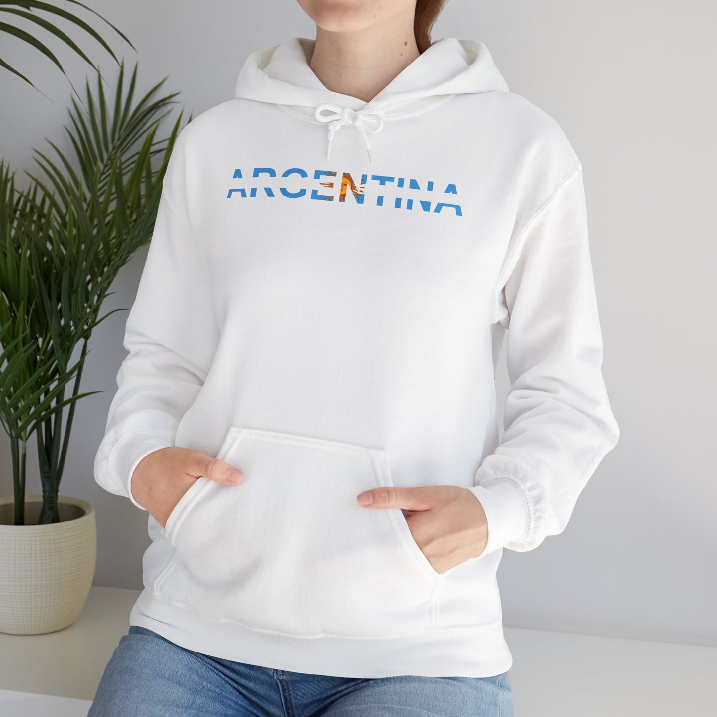 Argentina Bandera Hoodie