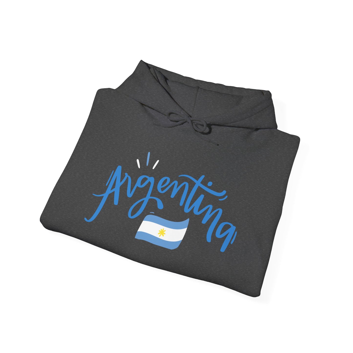 Argentina Bandera Hoodie