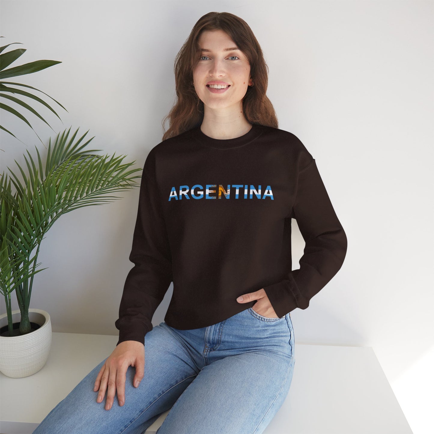 Argentina Bandera Sweatshirt