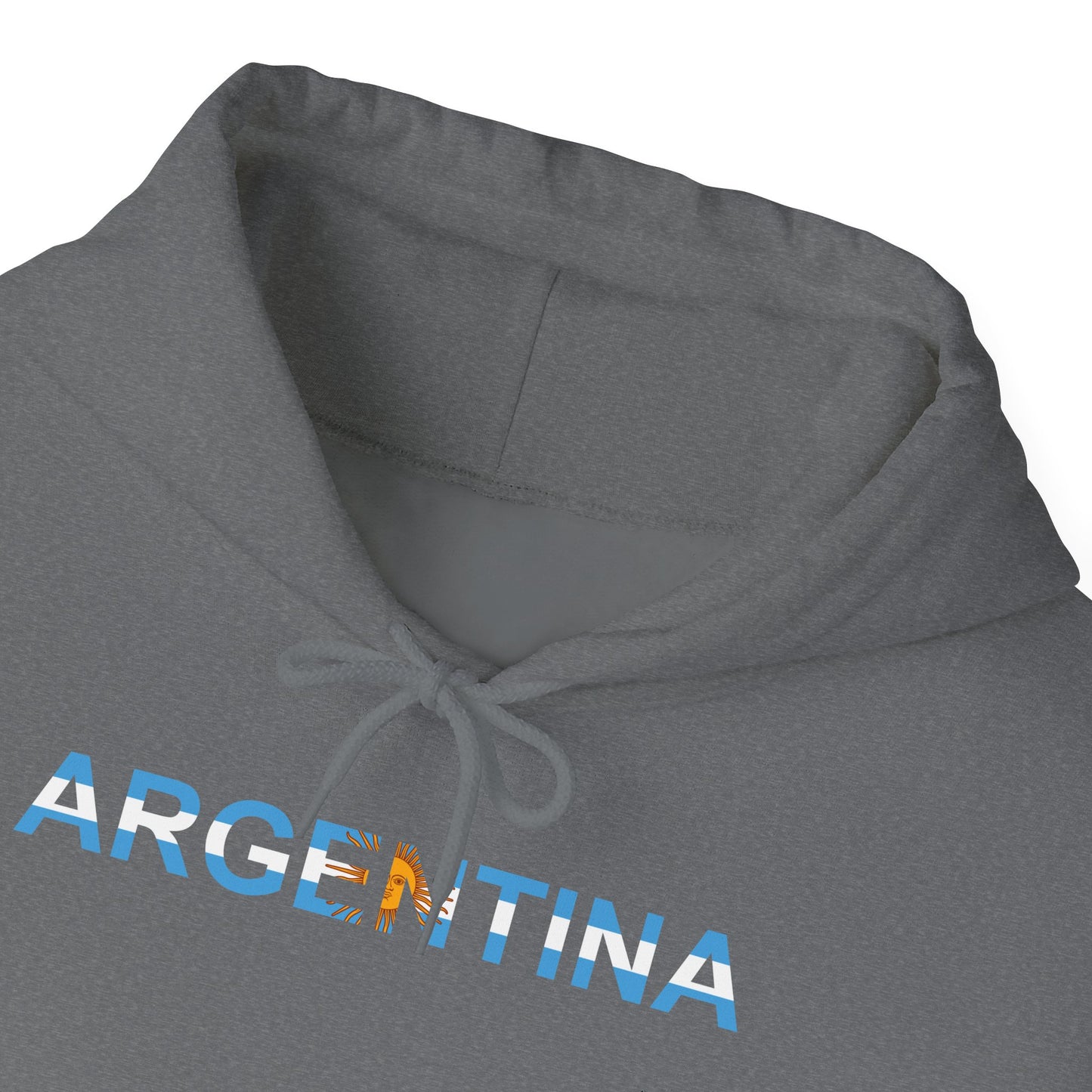 Argentina Bandera Hoodie