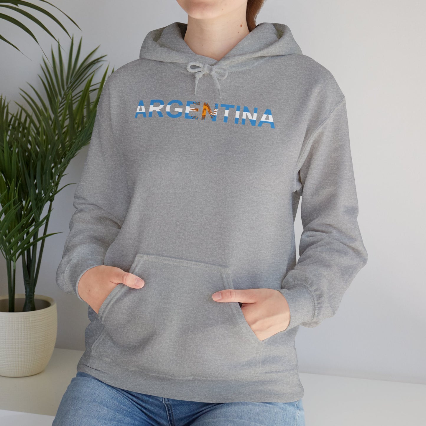 Argentina Bandera Hoodie