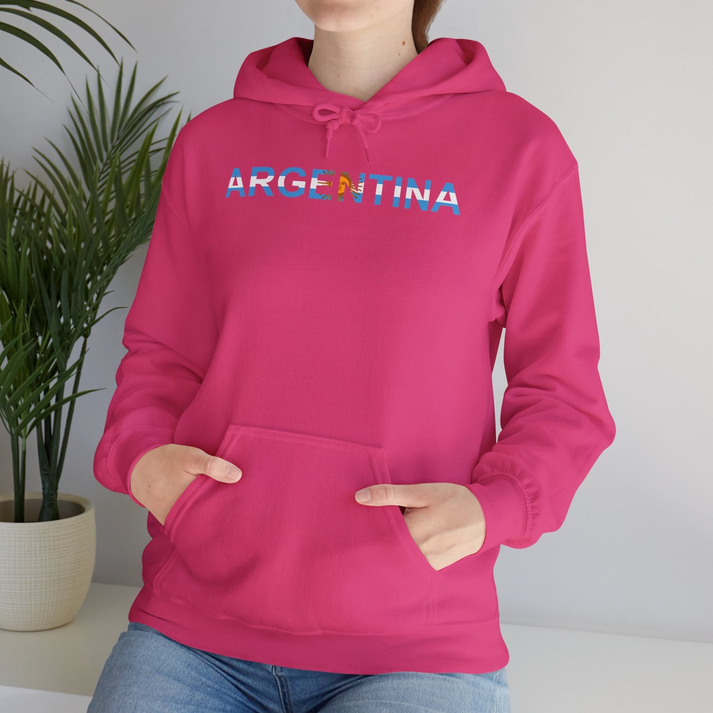 Argentina Bandera Hoodie