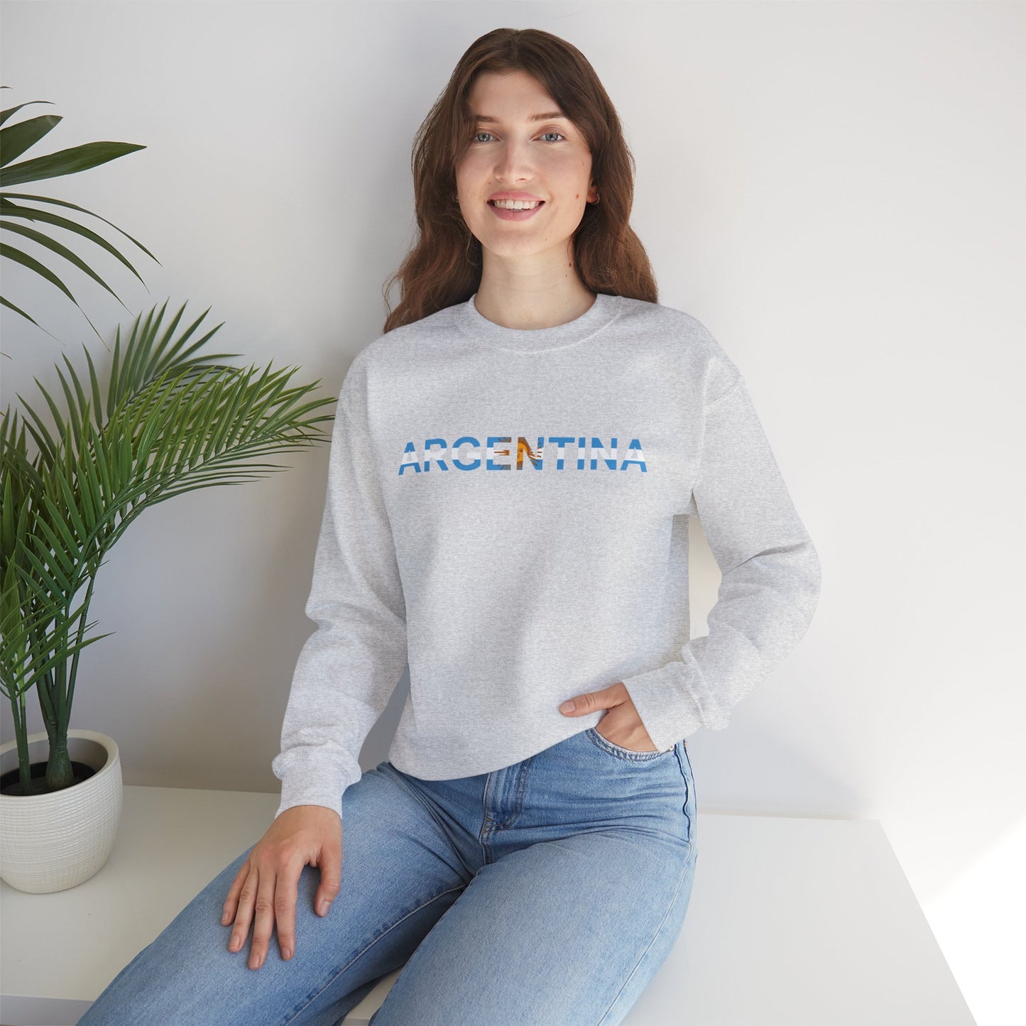 Argentina Bandera Sweatshirt