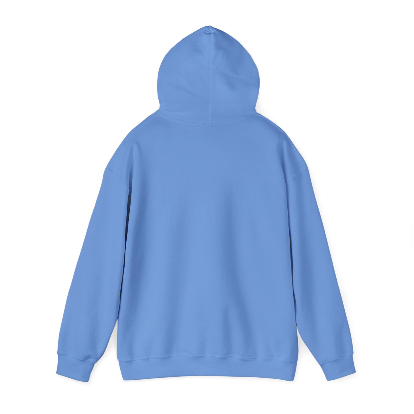 Argentina Bandera Hoodie