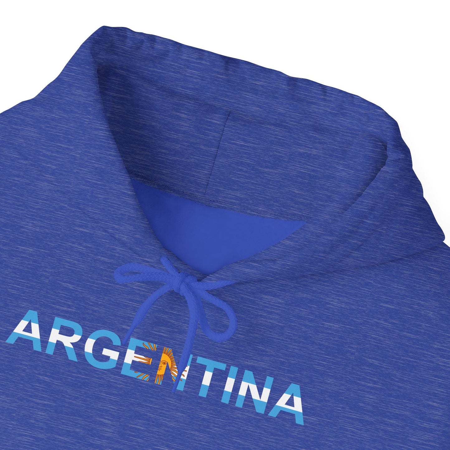 Argentina Bandera Hoodie