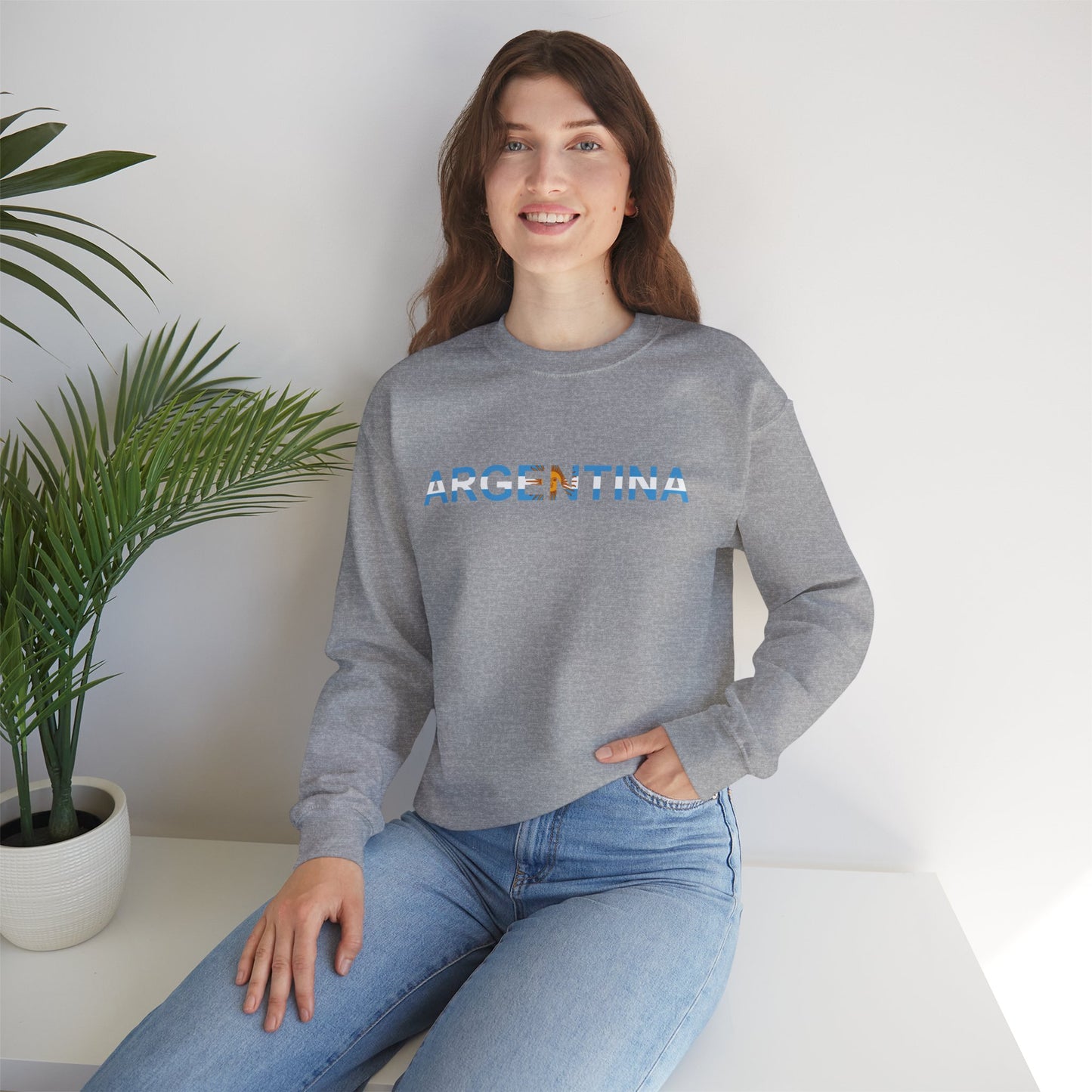 Argentina Bandera Sweatshirt